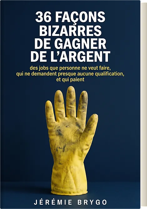 Le manuel « 36 façons bizarres de gagner de l'argent » de Jérémie Brygo
