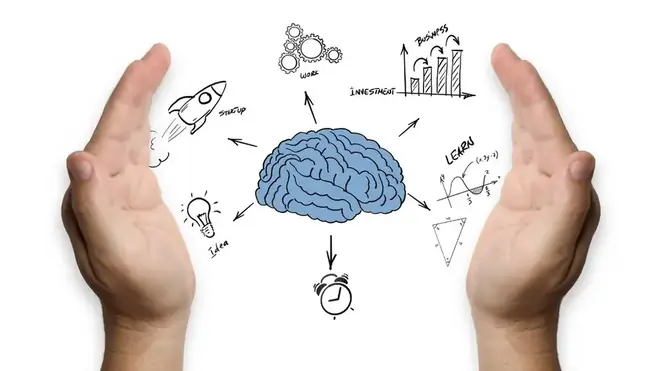 Formation habitudes impact