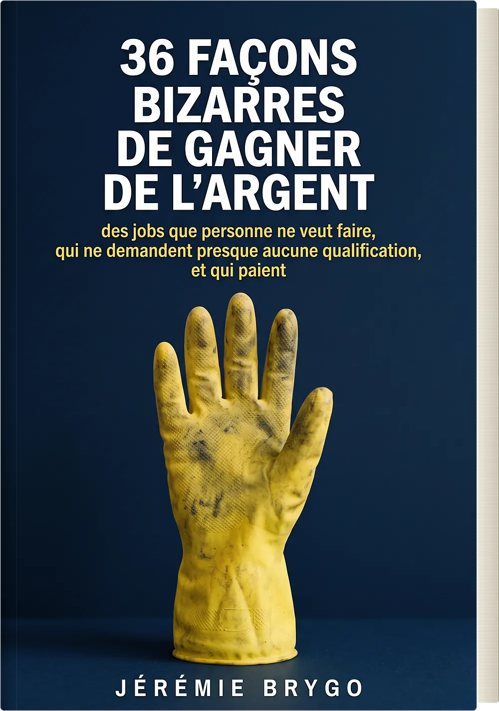 36 façons bizarres de gagner de l'argent, le manuel de Jérémie Brygo sur les métiers que personne ne veut faire