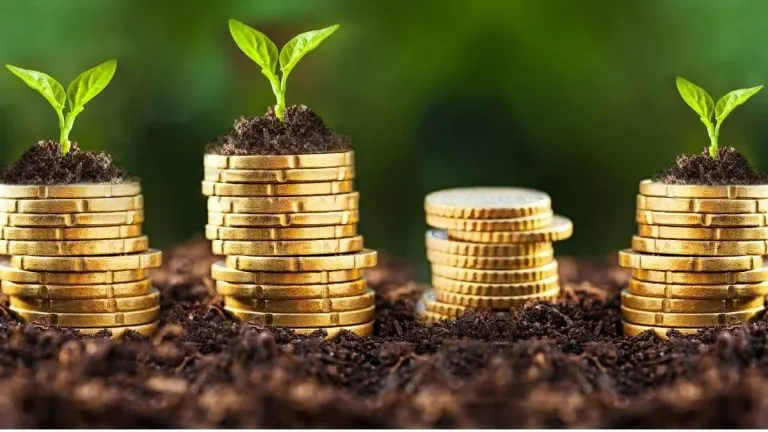 Minimalisme financier : épargner pour atteindre la liberté financière