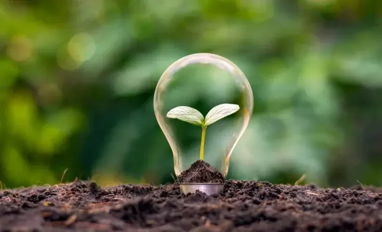 Sobriété énergétique écologie