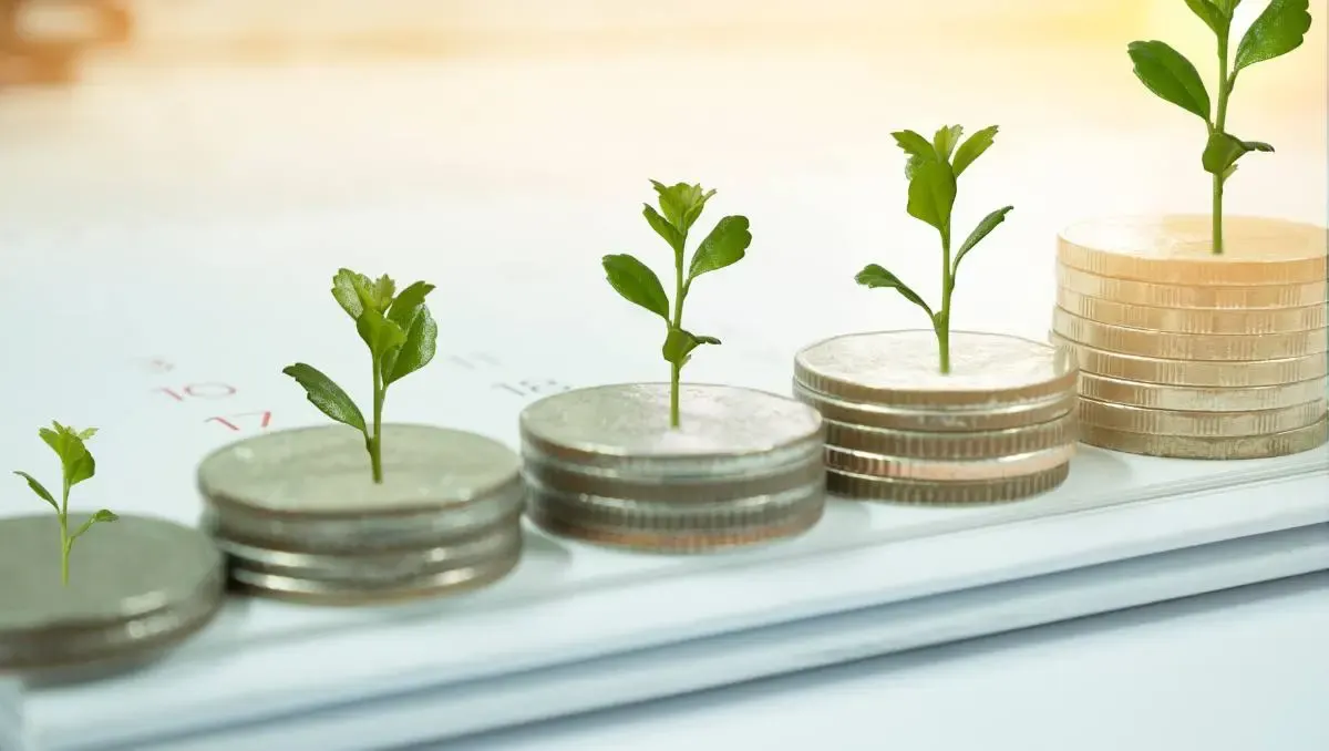 Dollar Cost Averaging et frugalisme : se construire un patrimoine étape par étape
