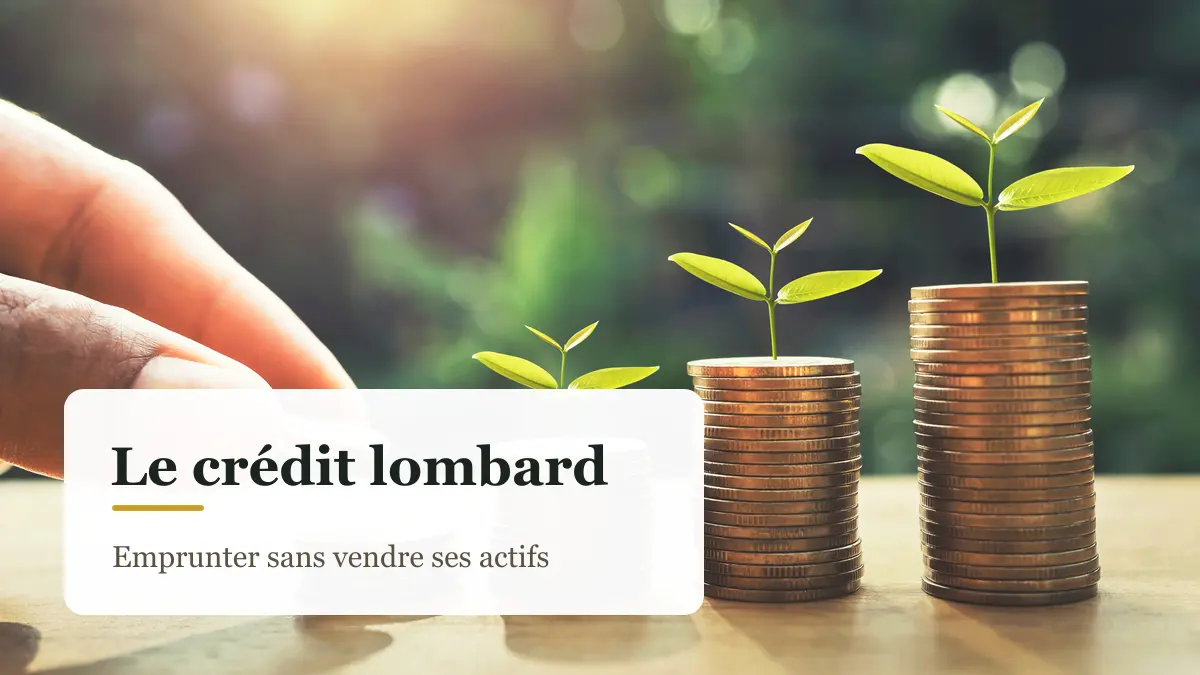 Crédit lombard : des piles de pièces surmontées de pousses, un patrimoine qui continue de croître pendant qu'on emprunte contre lui
