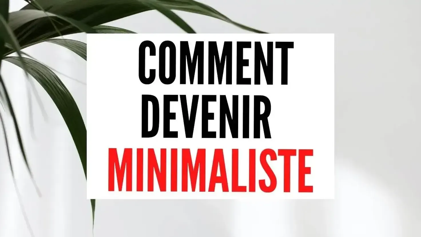 Devenir minimaliste : désencombrer, simplifier son quotidien et économiser, étape par étape