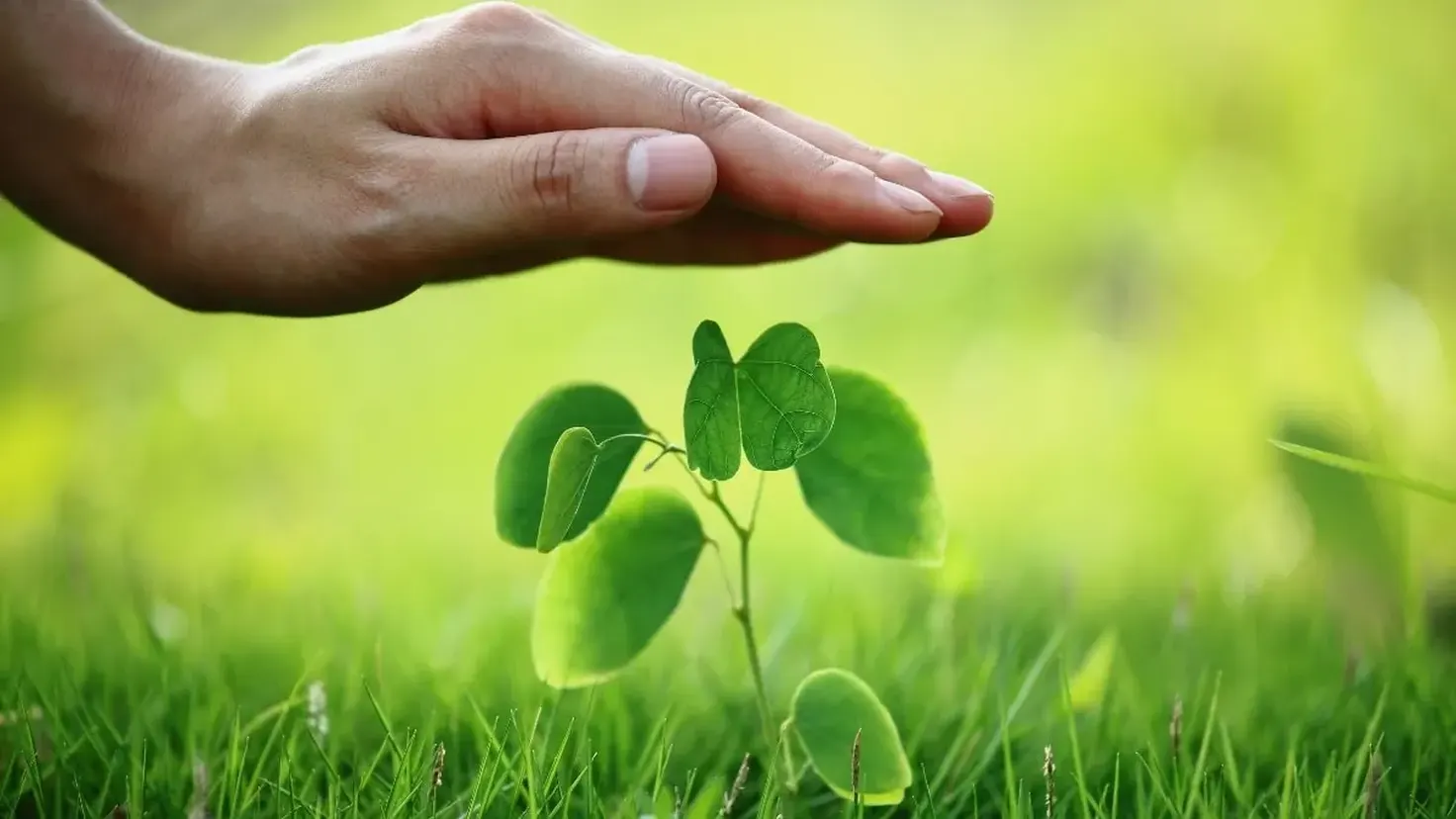 Protection de l'environnement : gestes du quotidien et choix de consommation pour réduire son impact