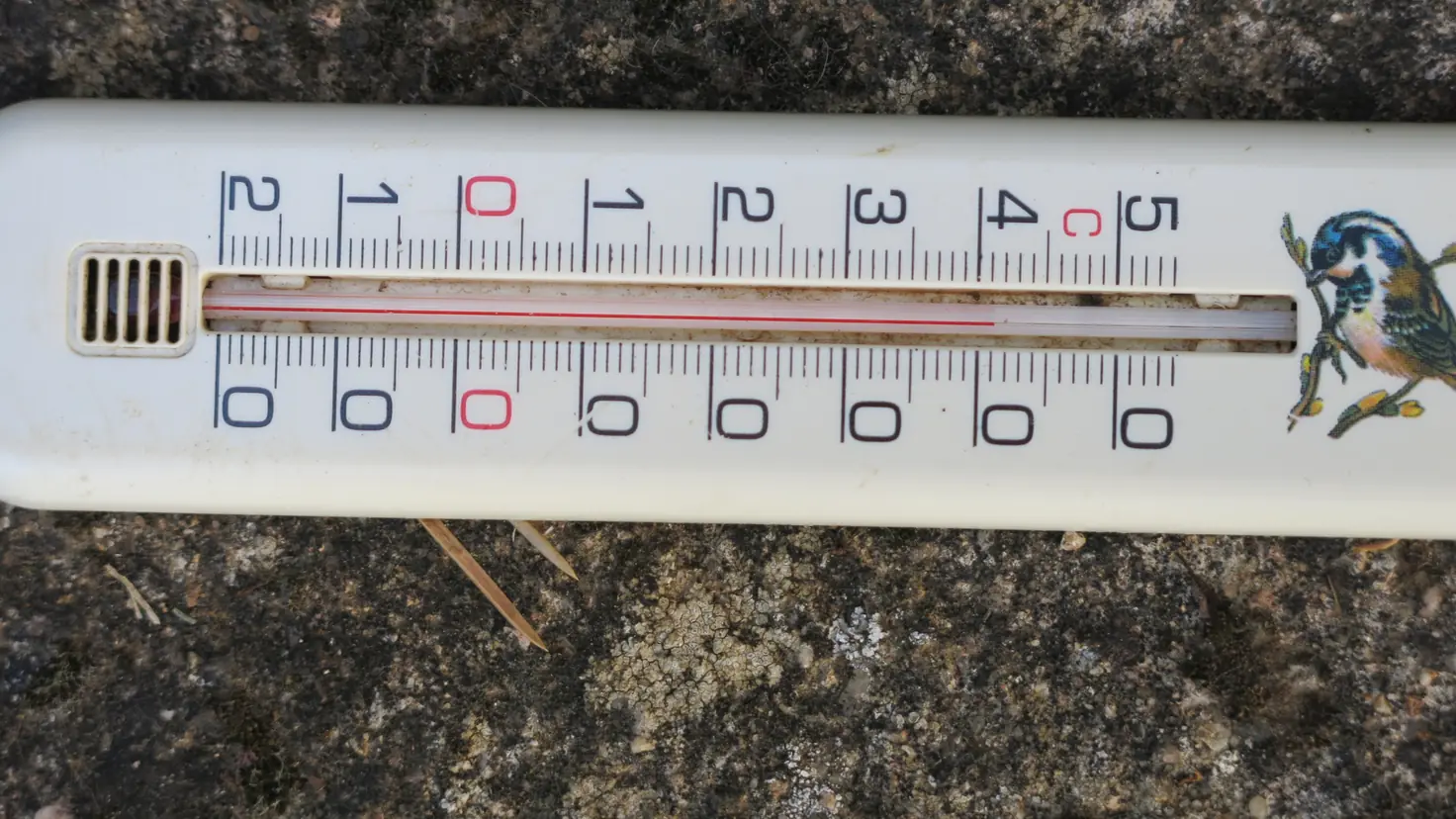 Thermomètre de jardin à colonne de liquide rouge affichant plus de 40 °C en plein soleil d'été