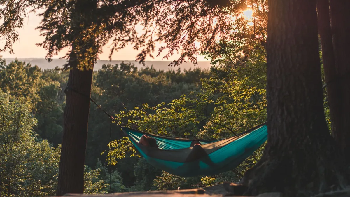 Personne allongée dans un hamac en forêt au coucher du soleil : l'image d'Épinal du revenu passif, un mythe tenace