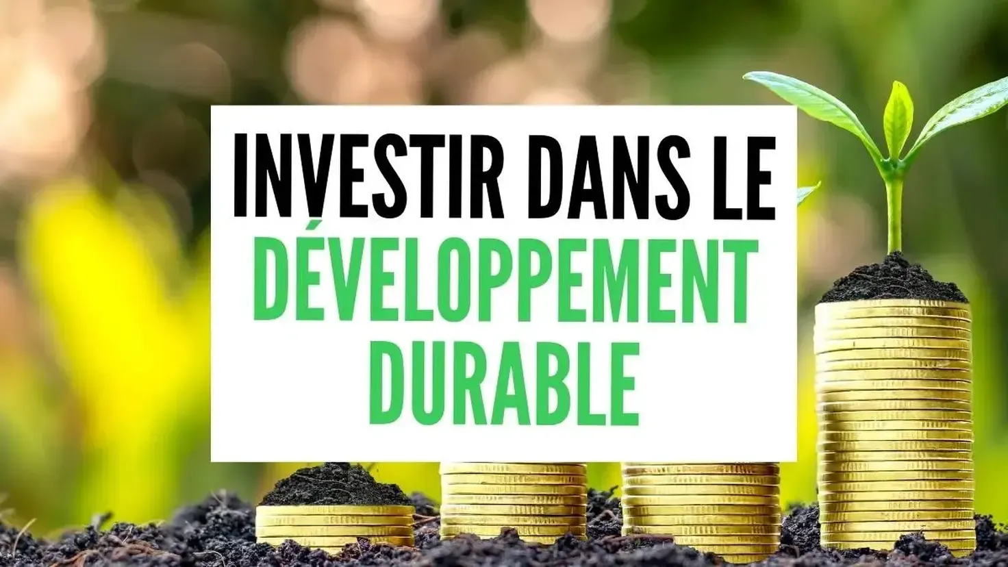 Investir pour le développement durable : placements éthiques, ISR et fonds responsables, mode d'emploi