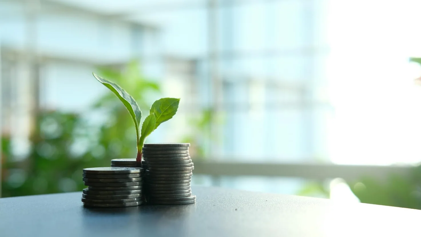 Stratégie crowdlending : une jeune pousse grandit sur deux piles de pièces, image de l'investissement discipliné sur le long terme