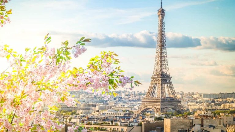 Investissement immobilier à Paris  - vue de la tout Eiffel a paris