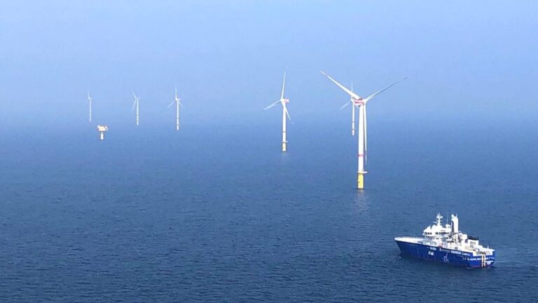 dévelloppement durable