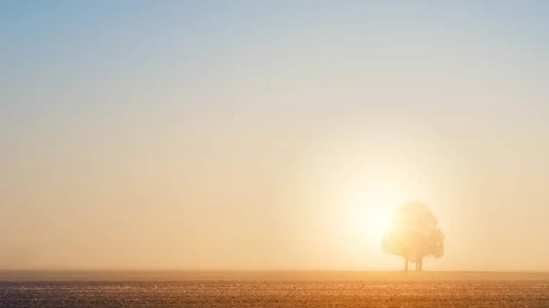 Paysage minimaliste 1, Comment devenir minimaliste