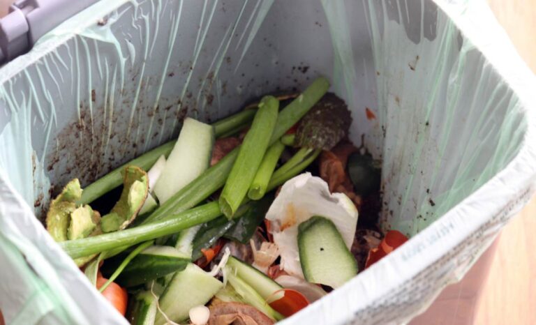 Apps anti gaspi frugalisme liberte financiere 1, Applications anti gaspi