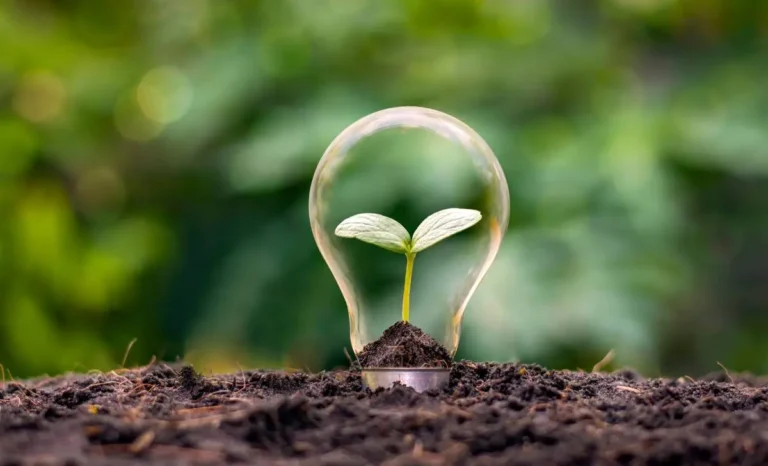 Sobriété énergétique écologie