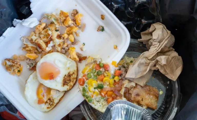 gaspillage alimentaire apps anti gaspi