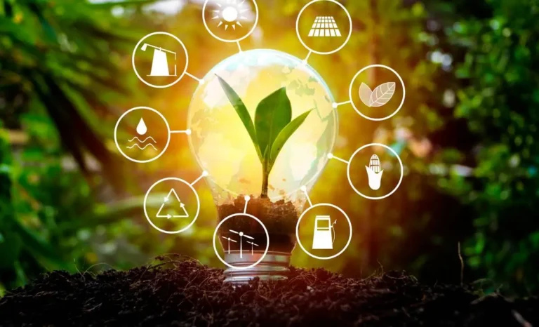 sobriété énergétique frugalisme