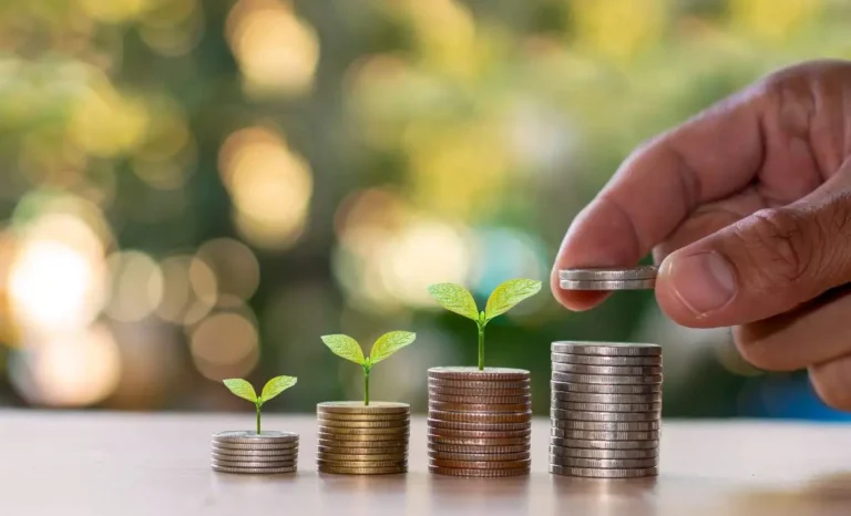 minimalisme financier