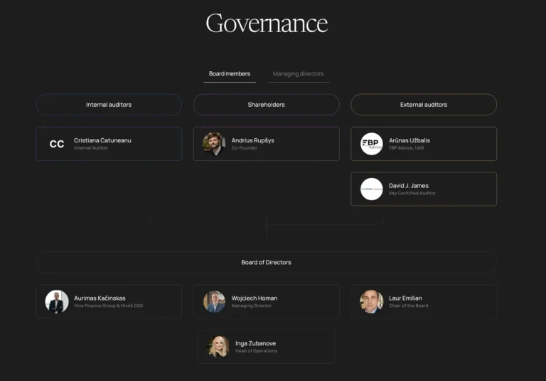 Conseil d administration Hive Finance Group avec auditeurs et fondateur Andrius Rupšys